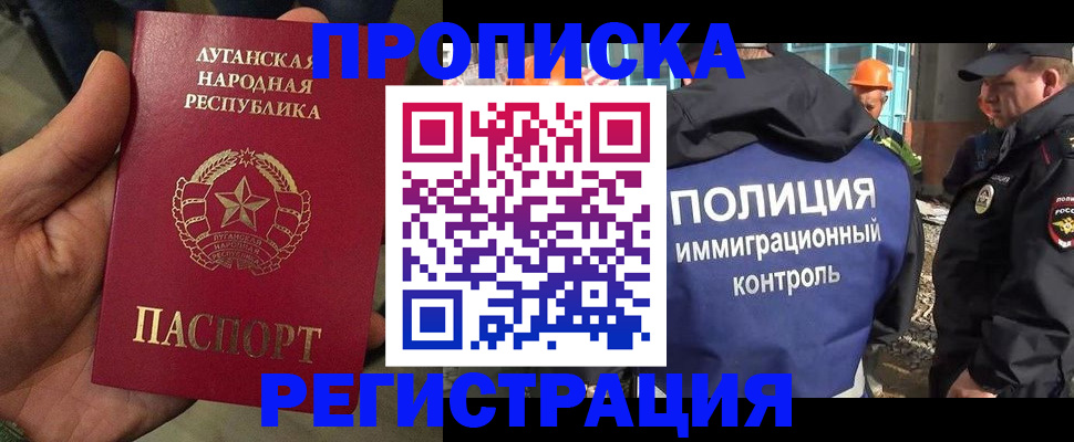 прописка поиск в Чернушке